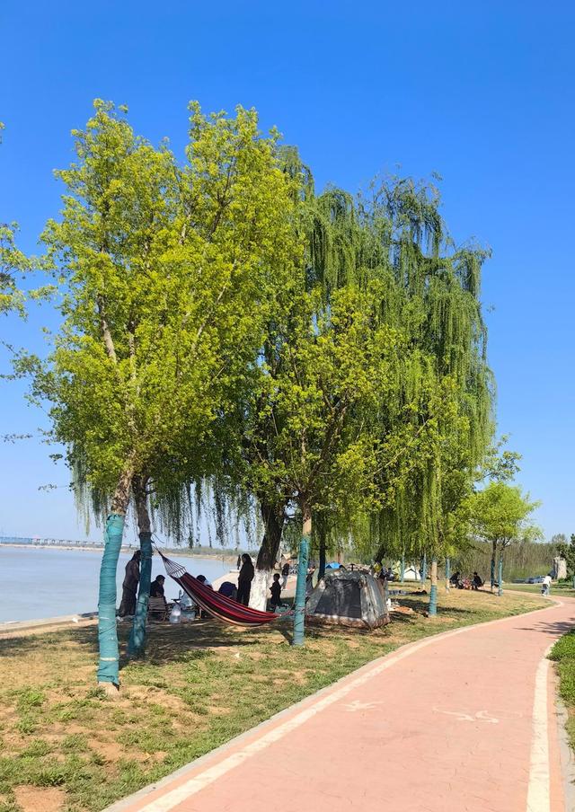 野趣满盈黄河岸，春日露营沐暖阳