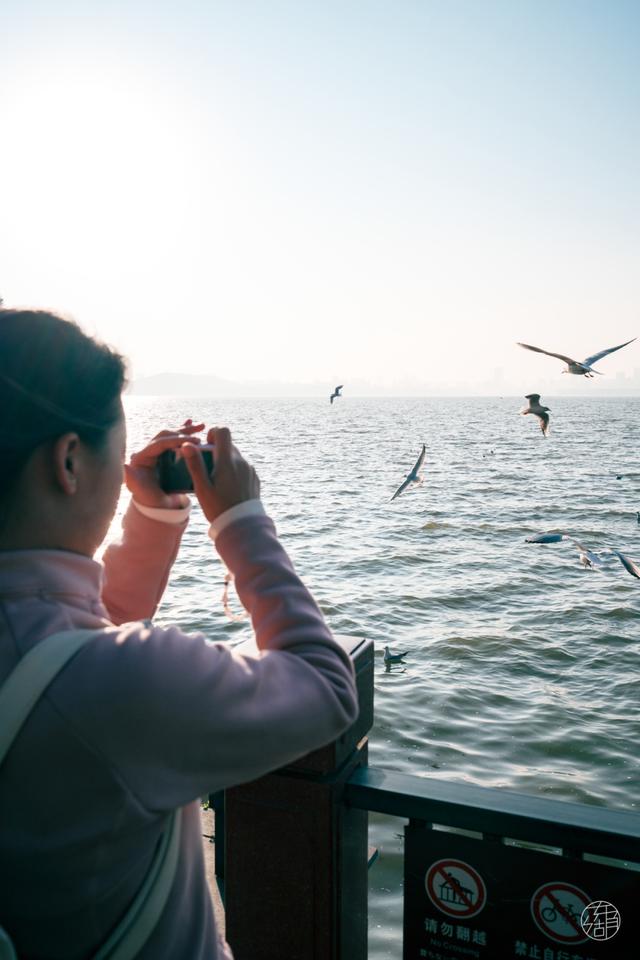 来东湖追鸥，这份私藏待办清单，请收好！