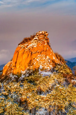 跨年、元旦去哪儿玩？河南这些景区免票/半价！