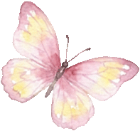 固原山花花期预报来了！（附最佳赏花地）