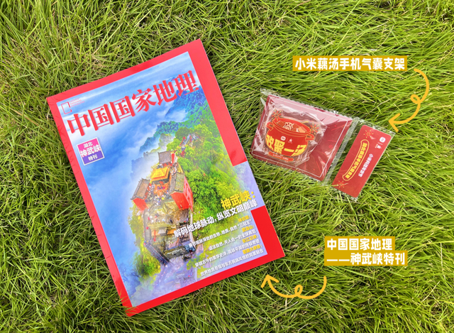 银杏黄了！安陆红了！