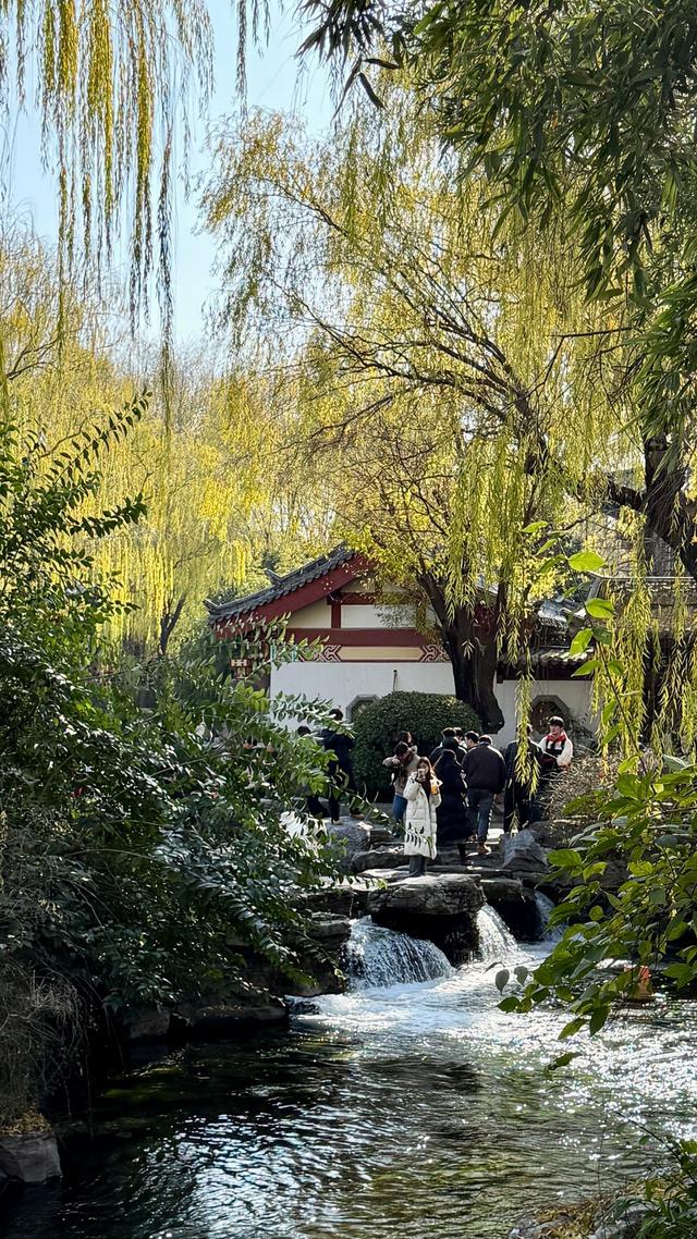 新视界｜如诗如画！冬至趵突泉 景色别样新