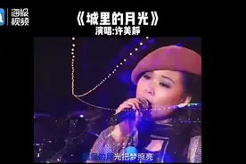 视说新语丨许美静南京音乐会：尊重与珍视，不应是歌迷的单向情怀图片