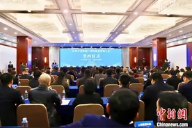 中国—东盟产业合作区显磁力 吸引民企投资图片