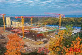 重点项目建设正酣图片