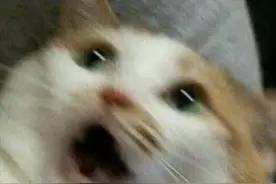 田间耕作挖出“铜疙瘩”以为是个“宝”？上海民警提醒：千万不能动！图片