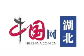 湖北省医疗保障局关于印发《湖北省医疗保障基金使用监督管理行政处罚裁量基准（试行）》的通知图片