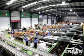 “眉县猕猴桃”荣获省级农业品牌监测评估第一名图片