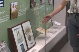 在大西北一待就是30多年 他曾让小麦增产速度超越水稻图片