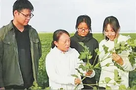 “像棉根一样深扎土地”（创新故事）图片