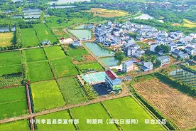 海报丨湖光山色 稻香邹岗图片