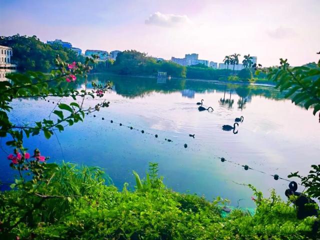 流花湖上线新玩法！缤纷游船带你解锁秋日浪漫