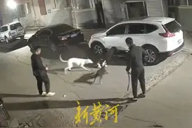 长春一小区内深夜斗狗猎杀猫咪？属地派出所：正在调查图片