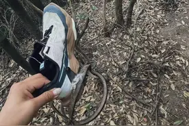 女子徒步莫干山踩中捕兽夹：两个手掌那么大，单人掰不开图片