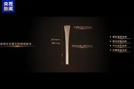 第十五届全国运动会和残特奥会火炬“绽放”正式发布图片