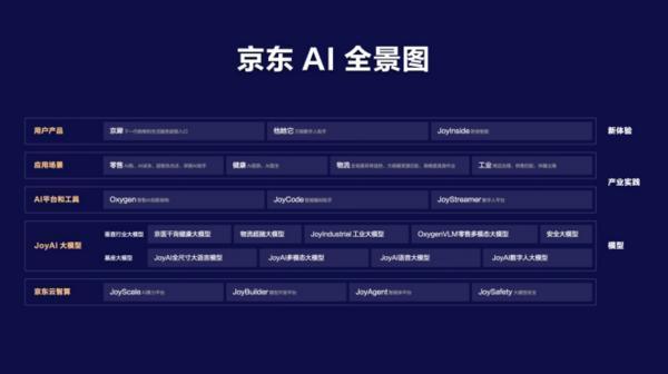 京东许冉：不片面追求运动式的AI 追求的是可持续发展的、真正为产业创造价值的AI