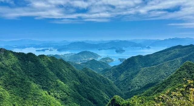 世界最大、亚洲唯一！今晨，他们在30000多棵楠木、8600亩森林，1500年的时光里奔跑......