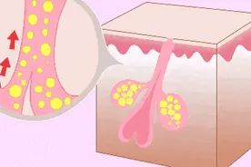 每天洗头，真的“伤发”吗？图片