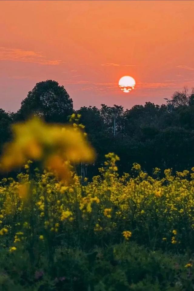 免费！火热！很多无锡人正在赶去