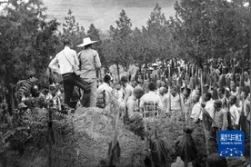 抗战影像记忆丨游击健儿逞英豪图片