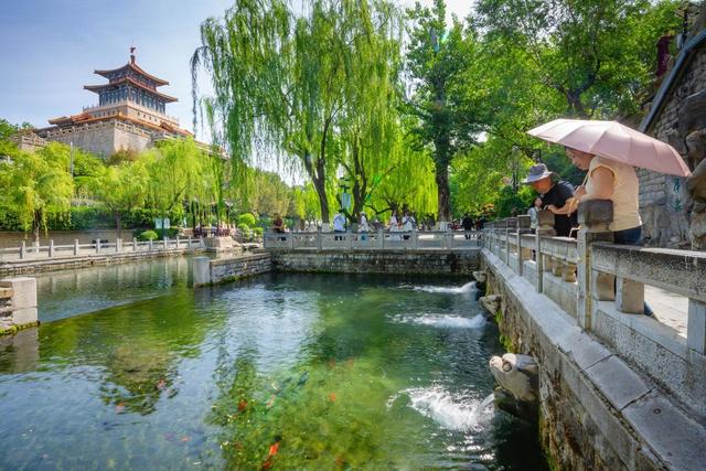 泉城相守，岁月情长 | 我在济南刚刚好