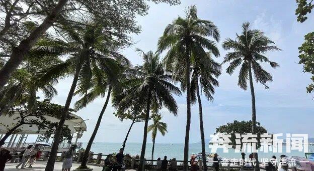 【奔流·浪花】三亚随笔：椰风海韵