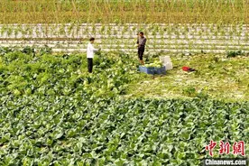 贵州玉屏：“00后”青年驻村情系乡村图片