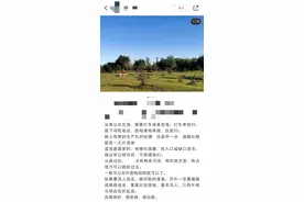“我搜的是攻略，实际上是大坑”——你被有毒的网络攻略帖坑过吗？图片