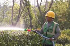 让绿植“喝饱水” 亳州园林部门开展“抗旱保苗”攻坚战图片