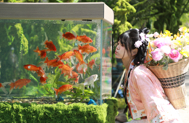 限时4天！蒙山面向全国女性、医护人员免费开放！