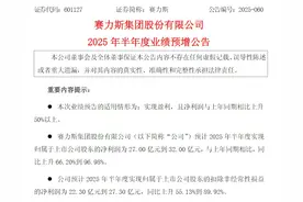 V观财报｜赛力斯上半年业绩预增近一倍图片