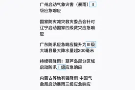 Ⅳ级是几级？网友晕了，官方回应图片
