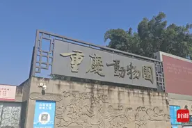 “圈舍狭小，黑熊刻板”？重庆动物园被吐槽“最偏心动物园”，园方回应图片