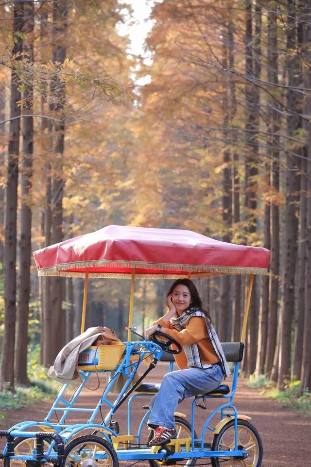 这片焦糖色的“童话森林”，美得藏不住了！