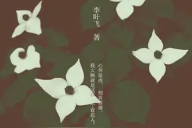 既有彩头、又有吃头的金橘图片