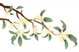 蛇年说“蛇”药，杏林药师带您认识“蛇”药图片