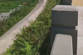 痛心！失联两名儿童遗体已找到图片