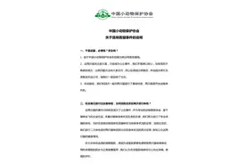 中国小动物保护协会就“昆明救猫事件”发布说明图片