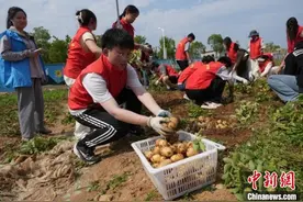 “挖土豆”“做饭”算学时 江苏一高校创新劳动教育课堂图片