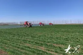 用期货赋能粮食产销，粮食卖个好价钱图片