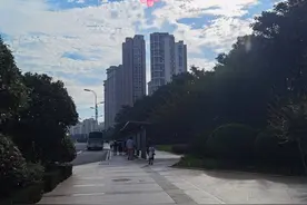 勒因 |“艺 ”路坎坷，强者自强图片