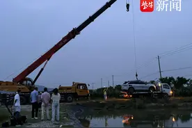 副驾驶上鸡闹腾， 轿车开进水塘中图片