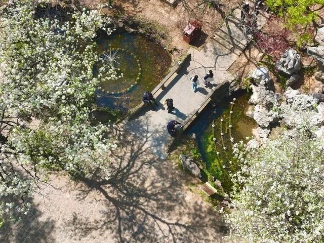 春假遇清明怎么玩？淮南假日游超全福利攻略上新！