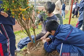 利用枯树枝做手工，这所学校开展义务植树活动图片
