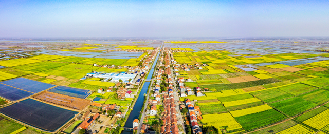 张家界国家森林公园畅游年卡来啦！还有10万现金等你来抽奖哦！