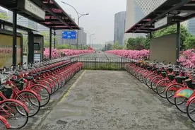 遛娃“神器”上新！1616辆亲子小红车今起投放杭城图片