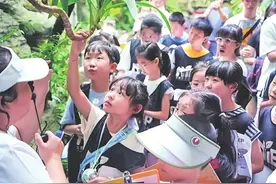 亲近自然 享受清凉图片