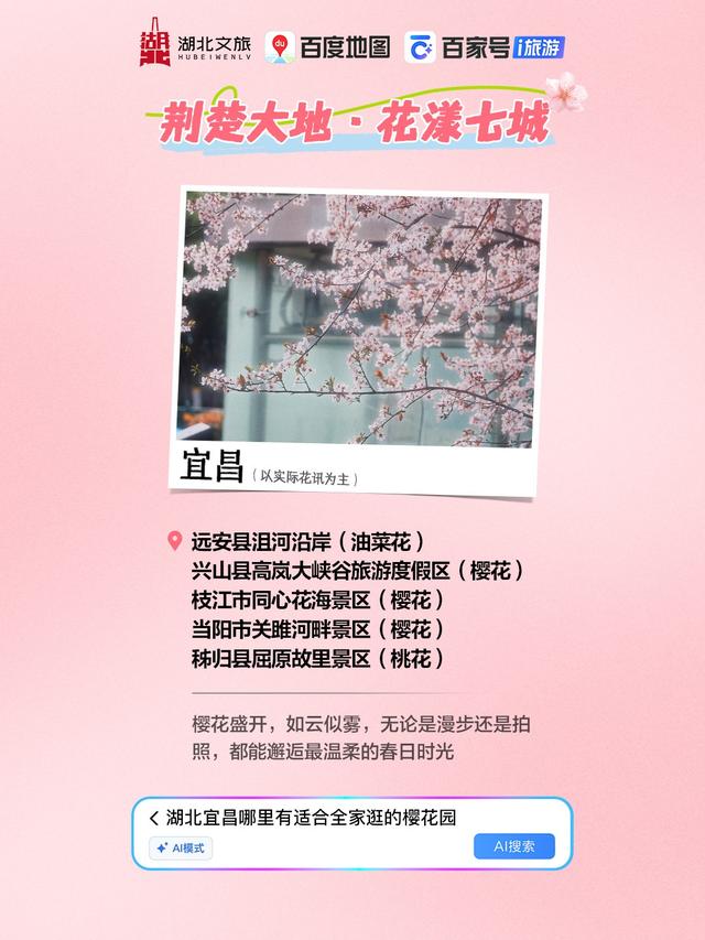 暴雨将停，AI赏花一键直达！