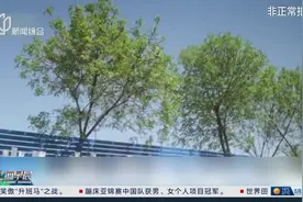 记者调查：摩托车驾培机构宣称“一天拿本”？“四个科目一天考过”摩托车驾照考试为何如此容易