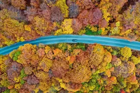 一周看天下图片